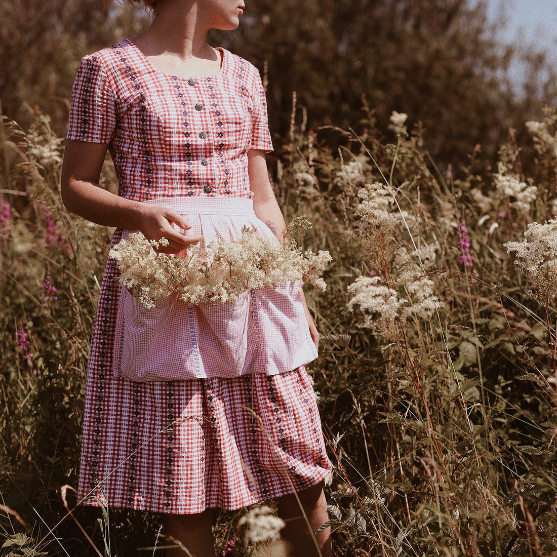 Foraging Meadowsweet